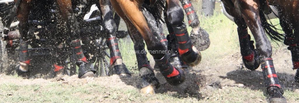 Mr Stockings peesbeschermers achterbeen-727